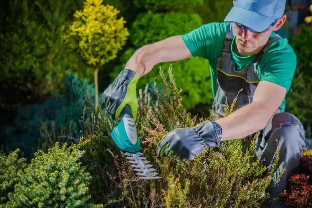 landscaping services Plattsmouth